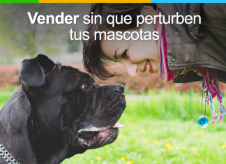 Cómo vender tu casa si hay mascotas: cuida los detalles vender tu casa si hay mascotas