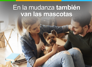 Mudanza con nuestras mascotas: lo que debes saber mudanza con nuestras mascotas