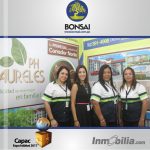 cuadrantecapac-bonsai