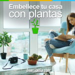 191018_INMO_02_LP_BG