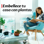decorar con plantas