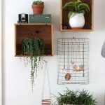 Decorar con plantas 2