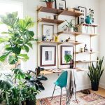 Decorar con plantas 3