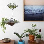 Decorar con plantas 4