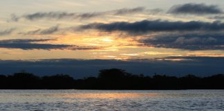 6 motivos más para visitar Ecuador como destino verde del mundo ecuador destino verde