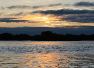 6 motivos más para visitar Ecuador como destino verde del mundo ecuador destino verde