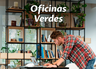 Las mejores plantas para la oficina: importancia y especies plantas para la oficina