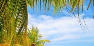 ¿Por qué las playas de Jamaica son el destino tendencia para 2019? playas de Jamaica