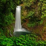 storyblocks-la-paz-waterfall-gardens-with-green-tropical-forest-central-valley-costa-rica_H5fMZx7X-G