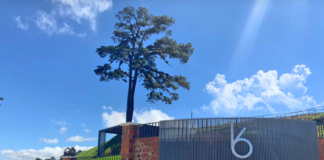 Hills 16: construye la casa de tus sueños en el terreno más exclusivo Hills16