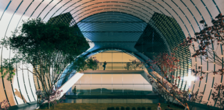 ¿Sabías que ya está diseñada la primera ciudad en Marte? primera ciudad en Marte