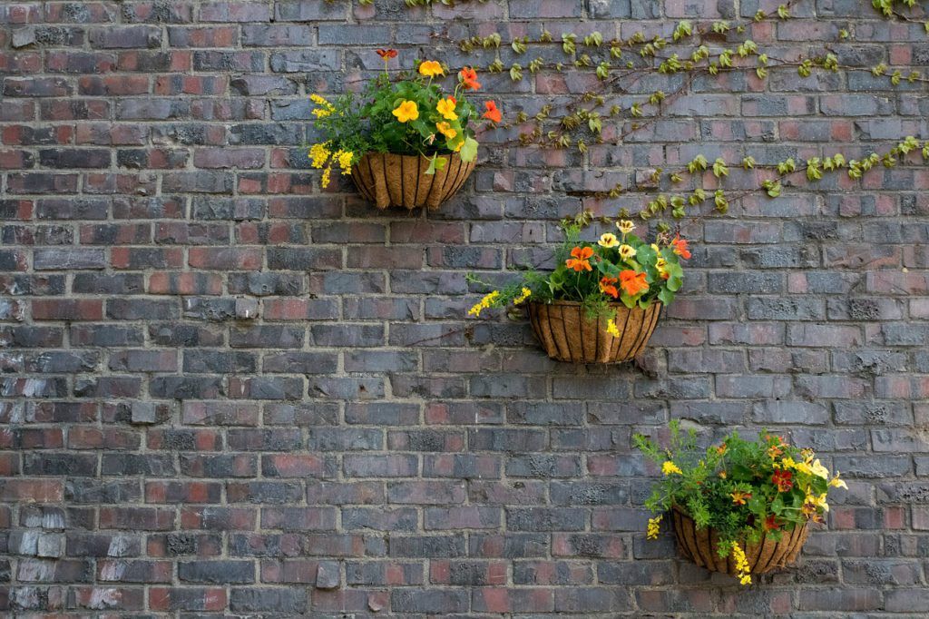 decorar tu hogar con plantas