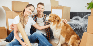 Cómo ayudar a tu perro en la adaptación a la mudanza Inmobilia-adaptacion-de-tu-perro-a-la-mudanza